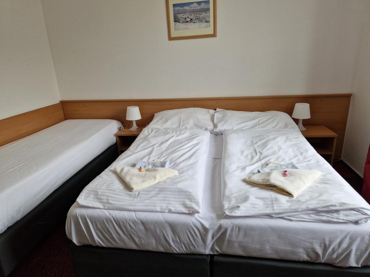 Hotel Harrachov Inn Отель 3*