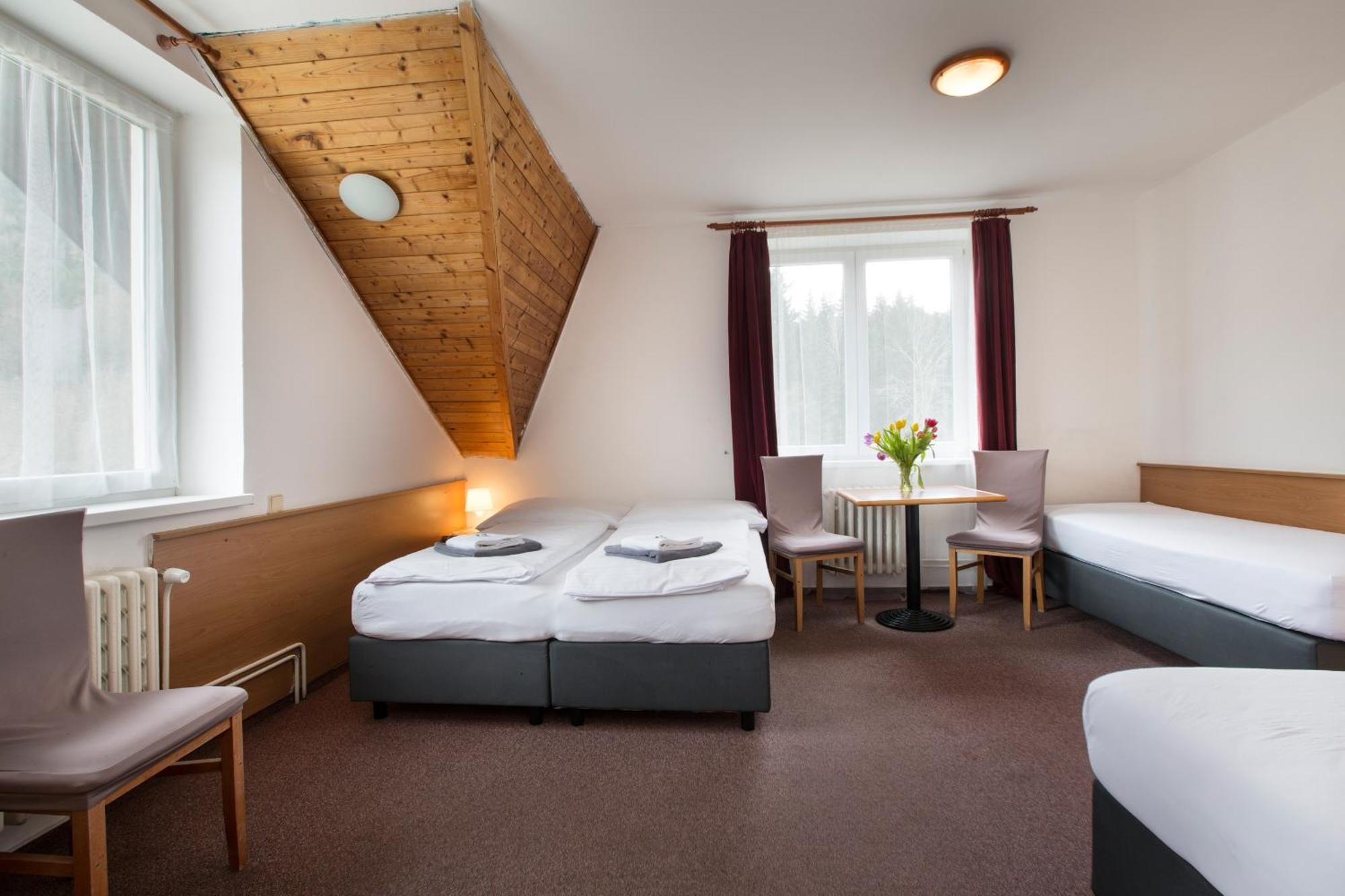 Hotel Harrachov Inn 3* Гаррахов
