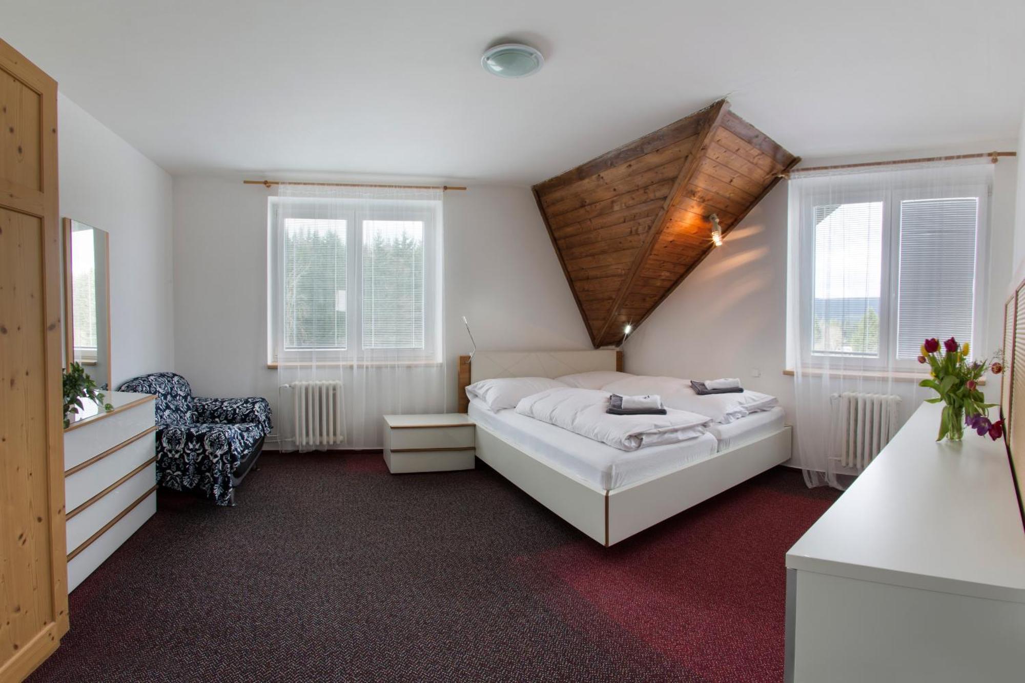 Hotel Harrachov Inn 3*